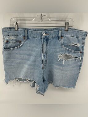 American Eagle Stretch Curvy 90s boyfriend short distressed festival grunge 18